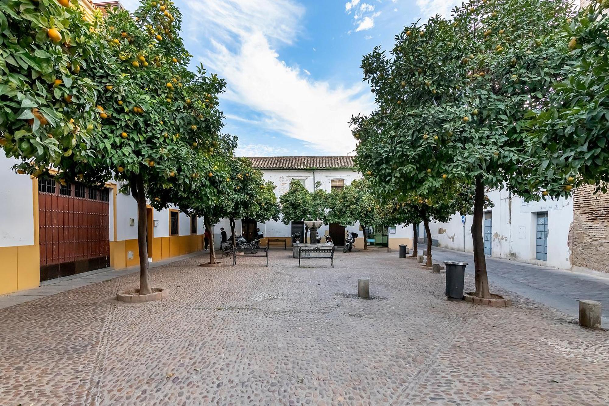 Apartamento El yayo Pepe Córdoba Exterior foto
